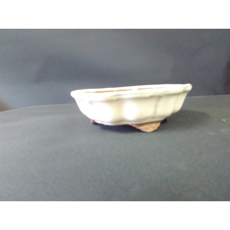 Maceta Redondo/Flor 13.5x13.5x4cm Maceta Redondo/Flor 13.5x13.5x4cm