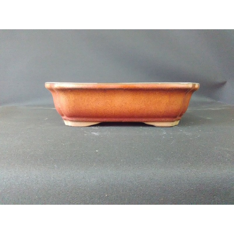 Maceta rectangular 21x16x5.8cm. Maceta rectangular 21x16x5.8cm.