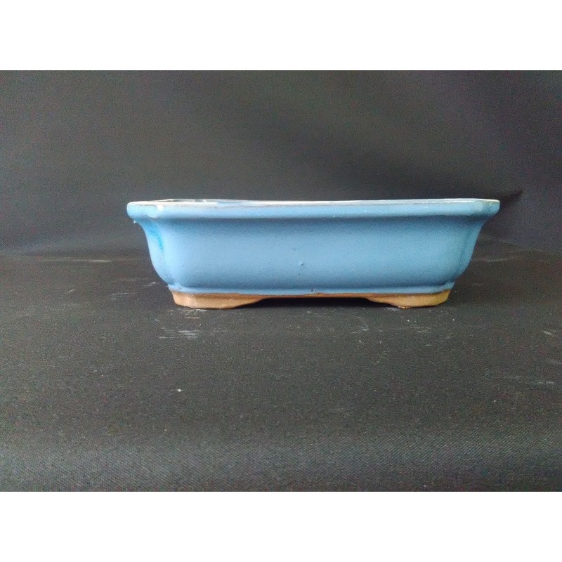 Maceta rectangular 21x16x5.8cm. Maceta rectangular 21x16x5.8cm.