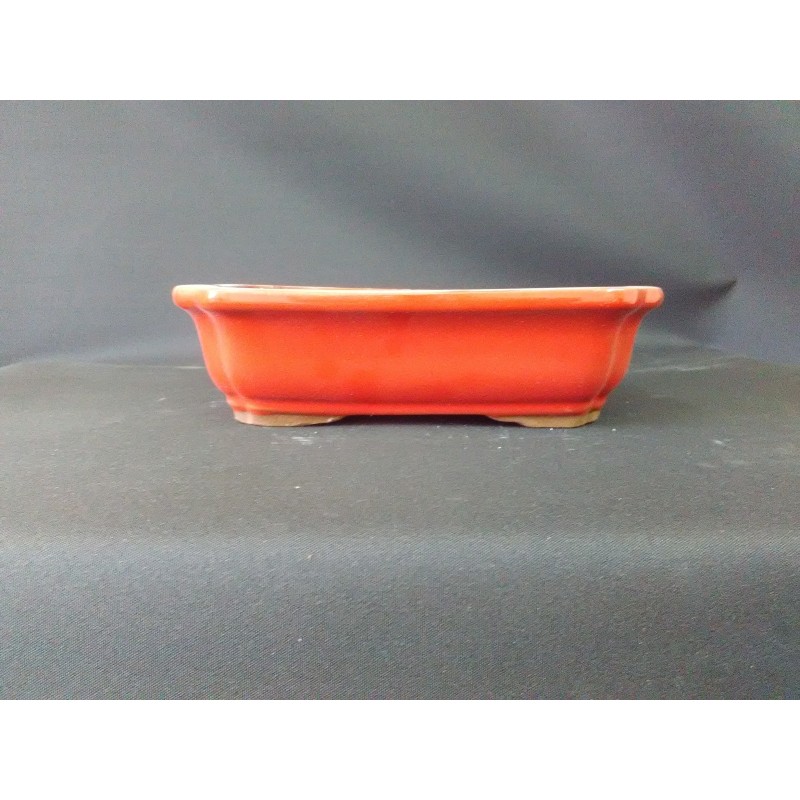 Maceta rectangular 21x16x5.8cm. Maceta rectangular 21x16x5.8cm.
