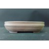 Maceta rectangular 17x11.5x4cm.