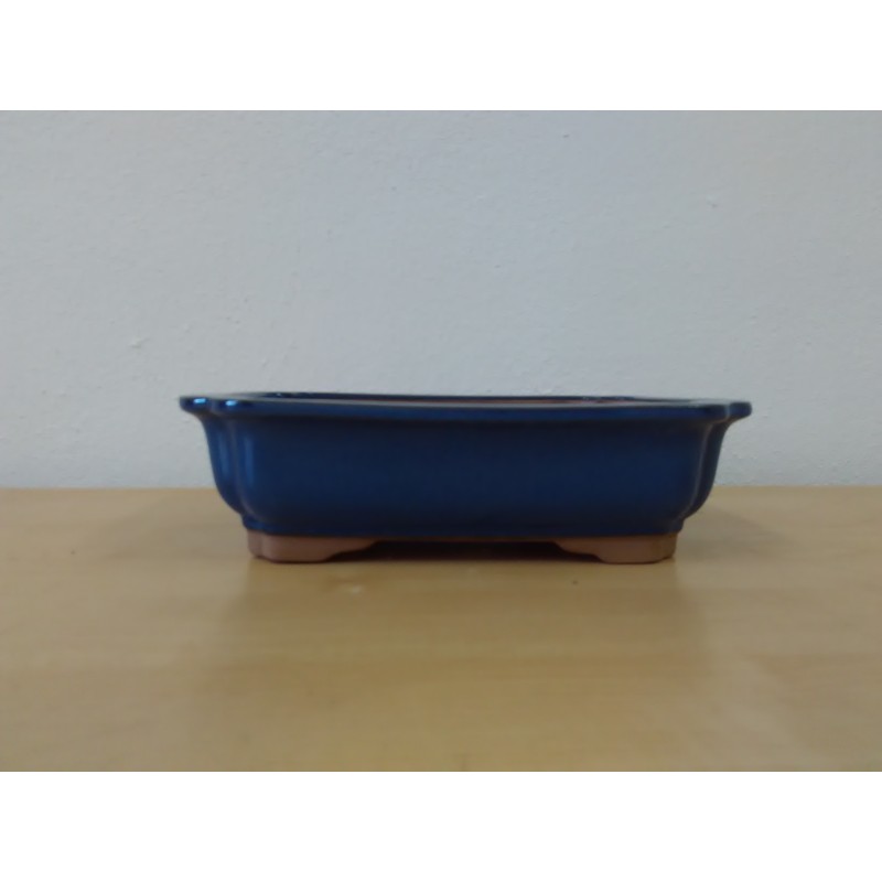 Maceta rectangular 26x20x7cm. Maceta rectangular 26x20x7cm.