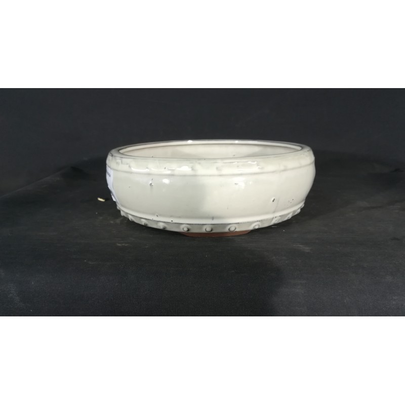 Maceta redonda 20x6.5cm. Maceta redonda 20x6.5cm.