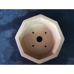 Maceta octogonal 18x18x5.5cm