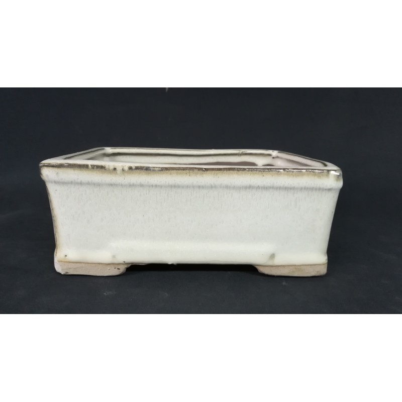 Maceta rectangular 16x11.5x6cm. Maceta rectangular 16x11.5x6cm.
