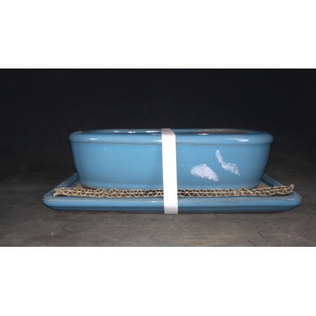 Maceta rectangular 21,5x15.5x5,5cm.