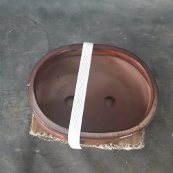 Maceta ovalada 15.5x12x6cm.