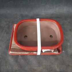 Maceta rectangular 21x16x5.5cm.