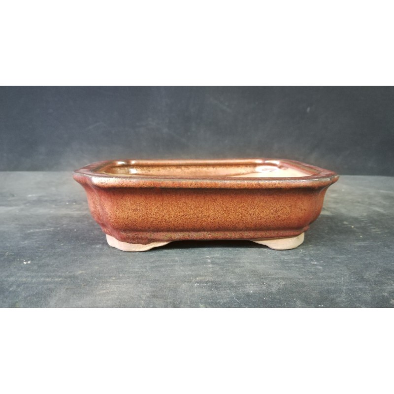 Maceta rectangular 16x12x4cm. Maceta rectangular 16x12x4cm.