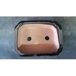 Maceta rectangular 16x12x4cm.