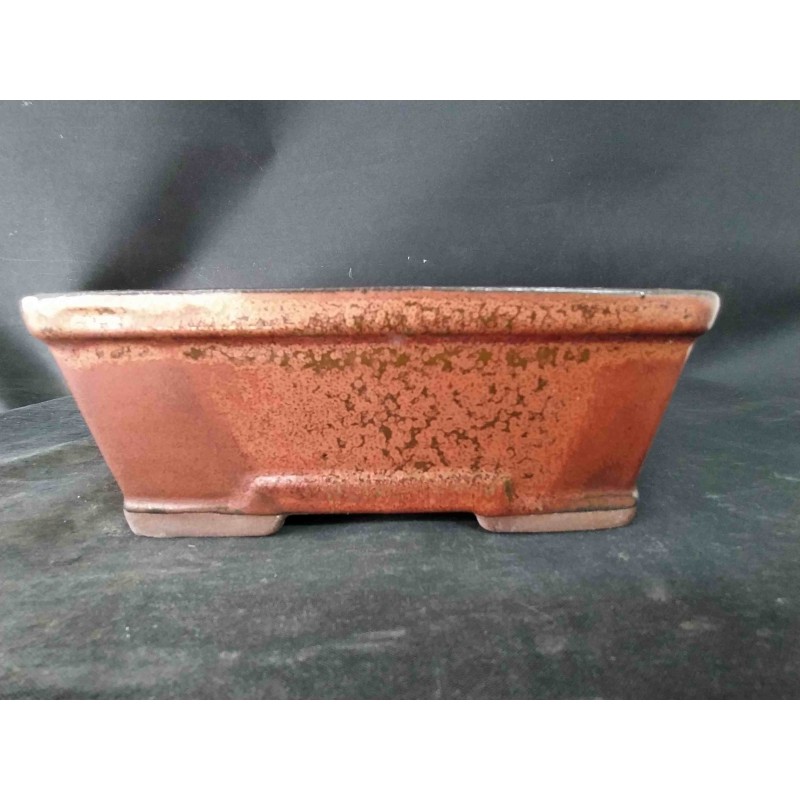 Maceta rectangular 18x14x7cm. Maceta rectangular 18x14x7cm.