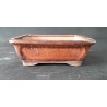 maceta rectangular 15.5x12.5x5.5cm.