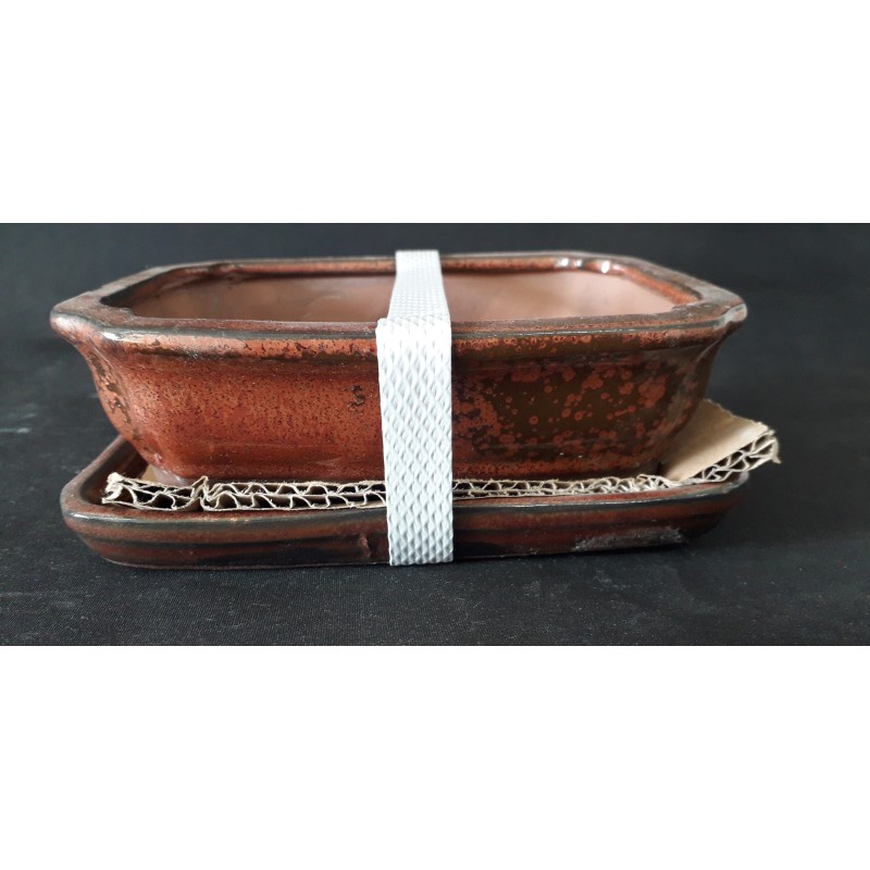 maceta rectangular 16x12x6cm. maceta rectangular 16x12x6cm.