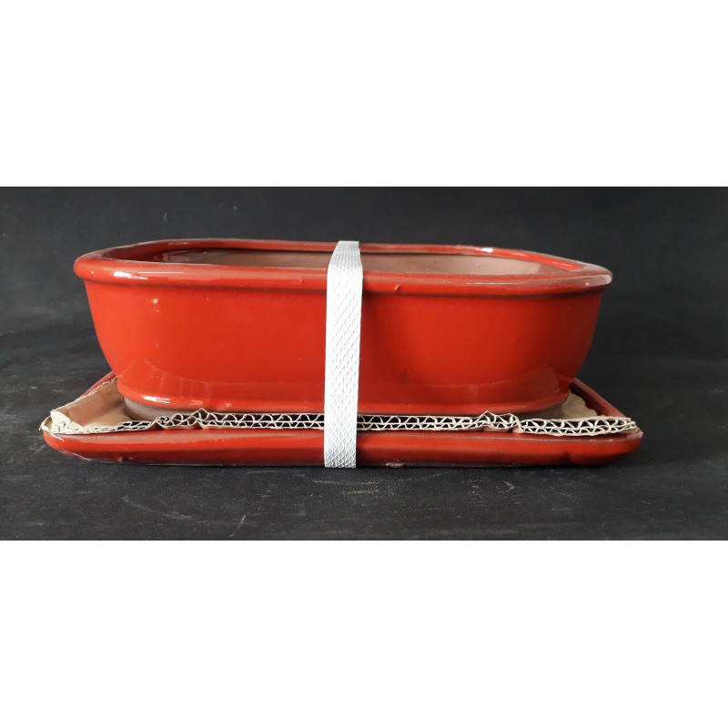 Maceta rectangular 26.5x20x7cm. Maceta rectangular 26.5x20x7cm.