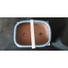 Maceta rectangular 15cm. con plato