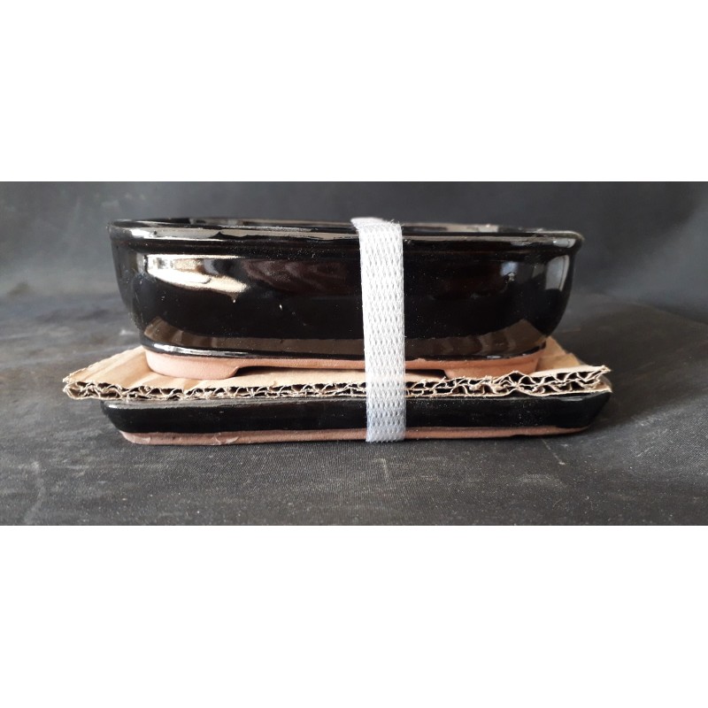 Maceta rectangular 16x12x4.5cm. Maceta rectangular 16x12x4.5cm.