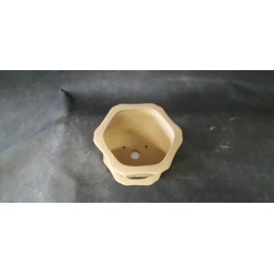 Maceta semi-cascada/hexagonal 14x14x9 cm.