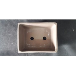 Maceta rectangular 17x12.5x6cm.