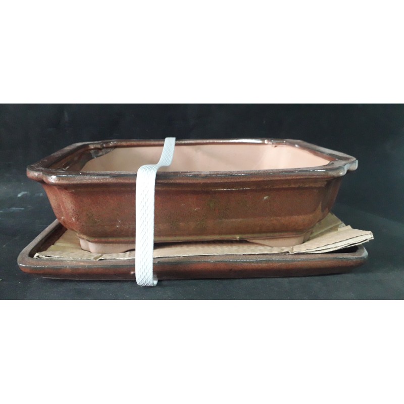 Maceta rectangular 27x21x7cm. Maceta rectangular 27x21x7cm.