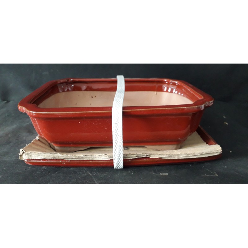 Maceta rectangular 27x21x7cm. Maceta rectangular 27x21x7cm.