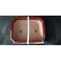 Maceta rectangular 27x21x7cm.