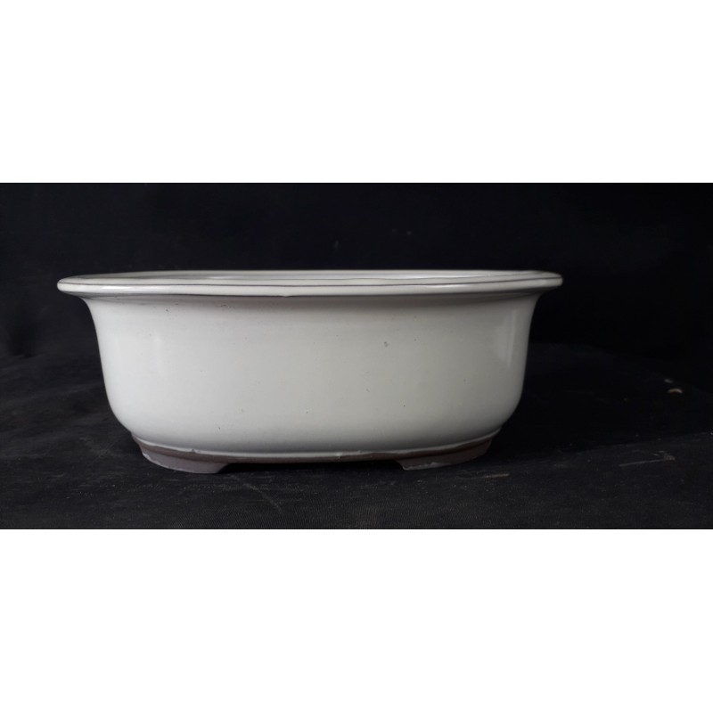 Maceta japonesa ovalada 23.5x19x8cm. Maceta japonesa ovalada 23.5x19x8cm.