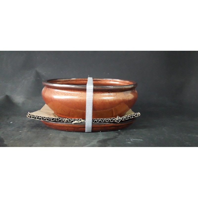 Maceta ovalada 20x16x7 cm Maceta ovalada 20x16x7 cm